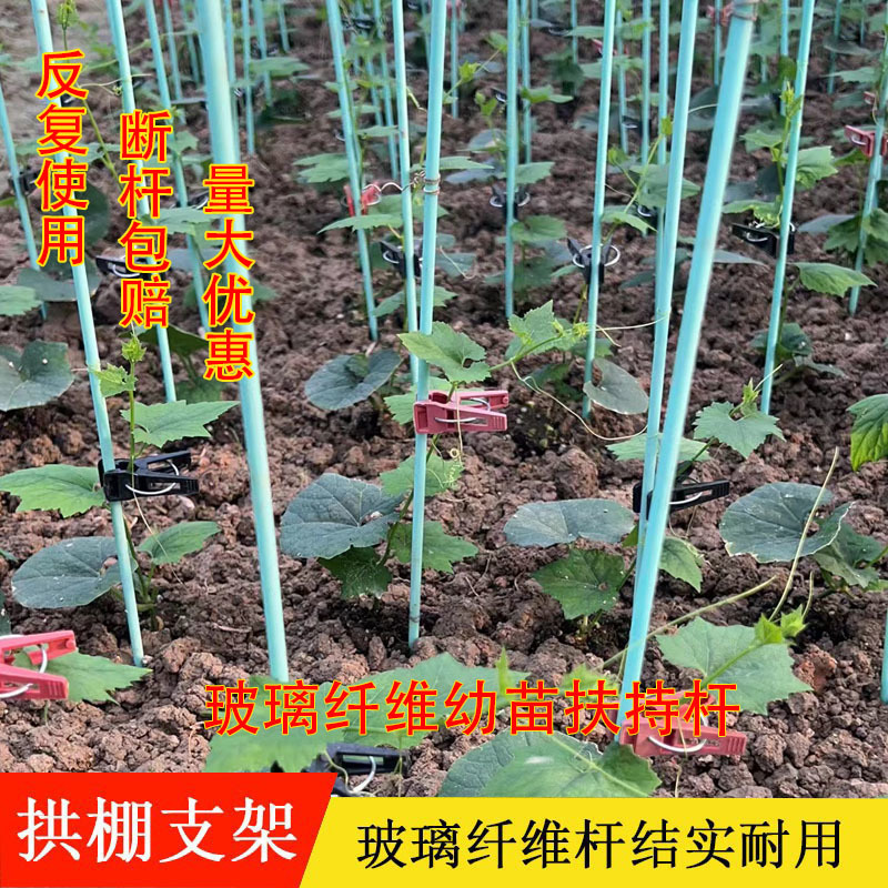 黄瓜四季豆角爬藤支架杆番茄菜杆实心玻璃纤维杆棒种菜架子