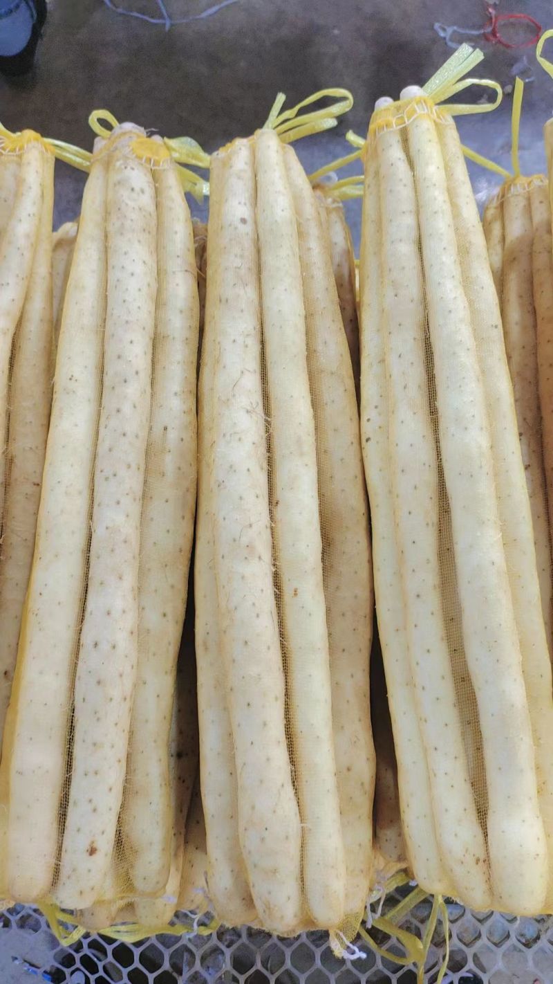 精品水洗双棒山药规格齐全品质保证诚信经营量大从优