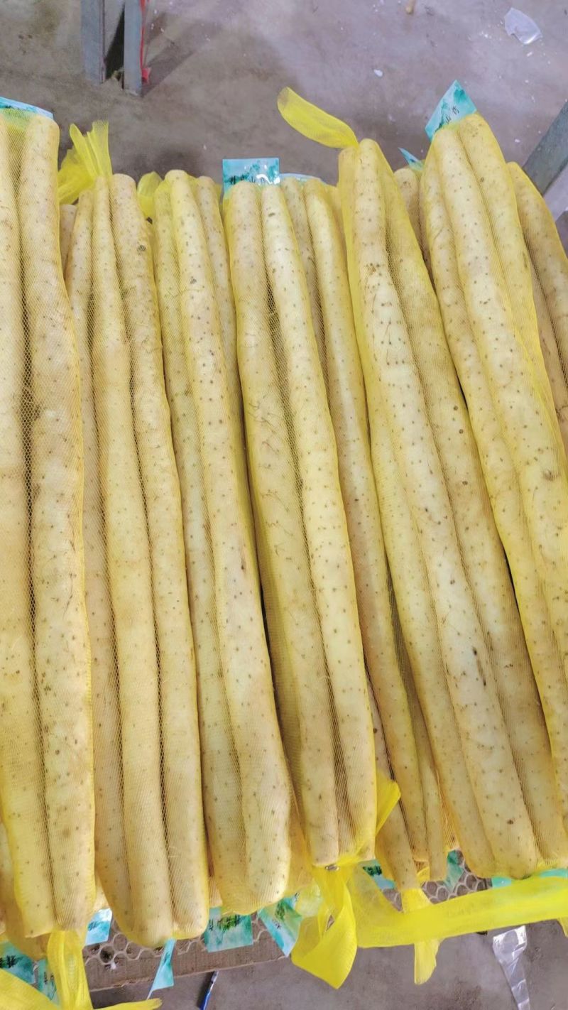 精品水洗双棒山药规格齐全品质保证诚信经营量大从优