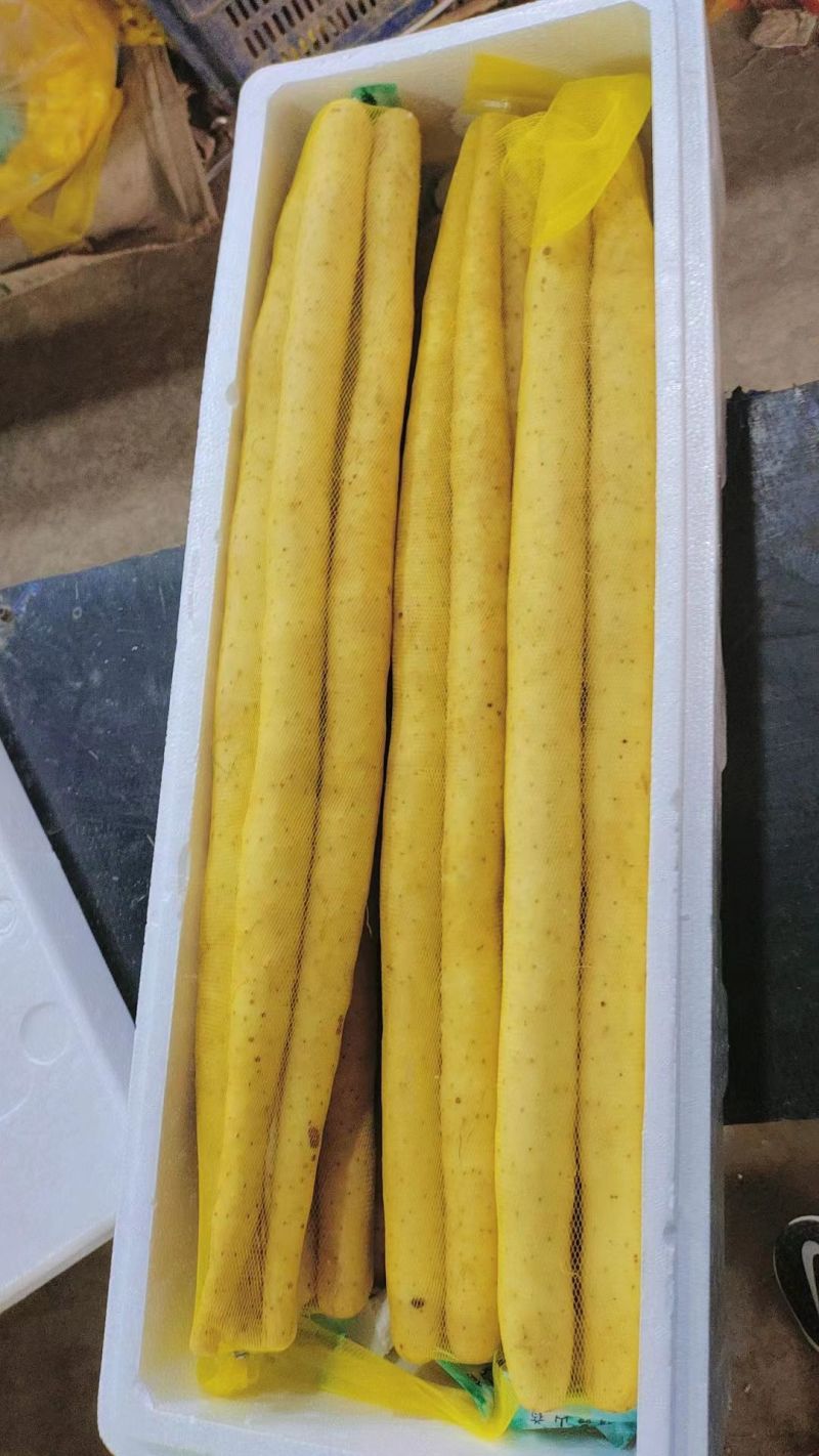精品水洗双棒山药规格齐全品质保证诚信经营量大从优