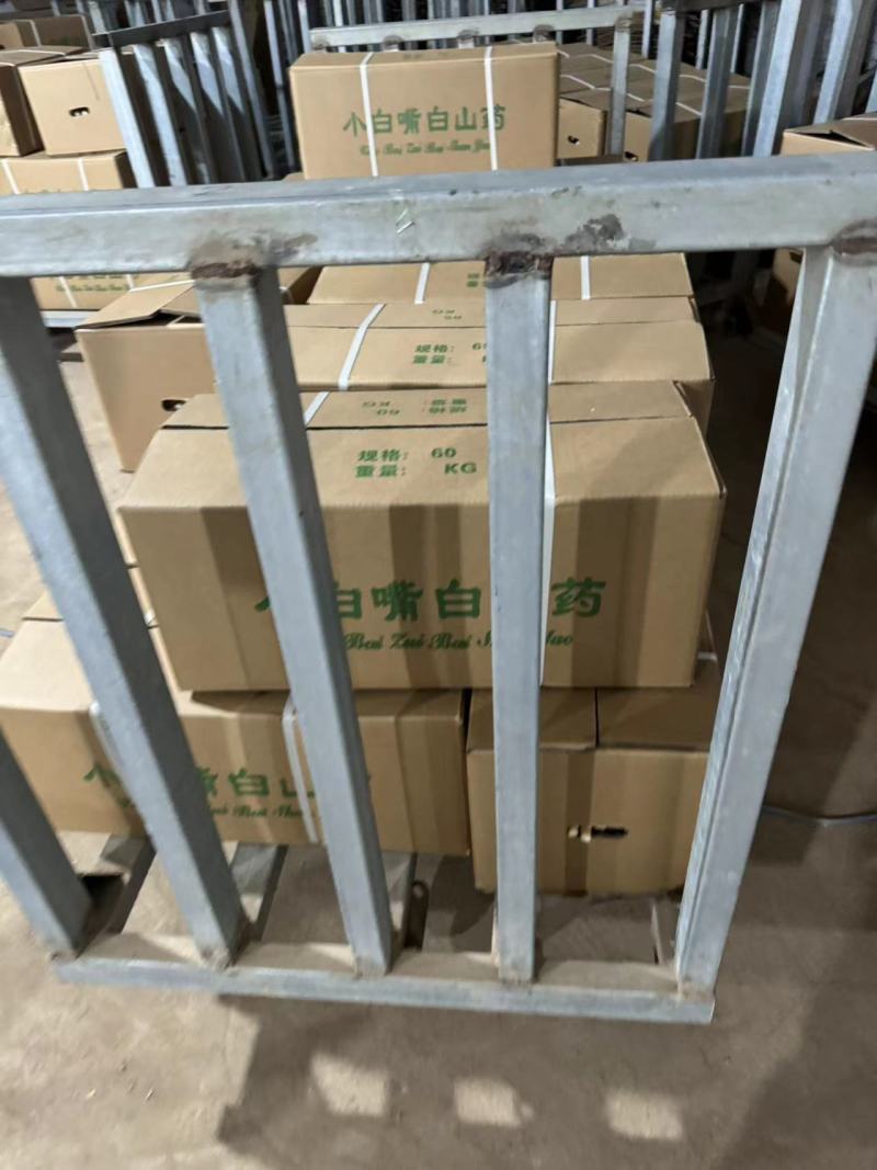 精品小白嘴山药产地直发一手货源量大从优欢迎咨询