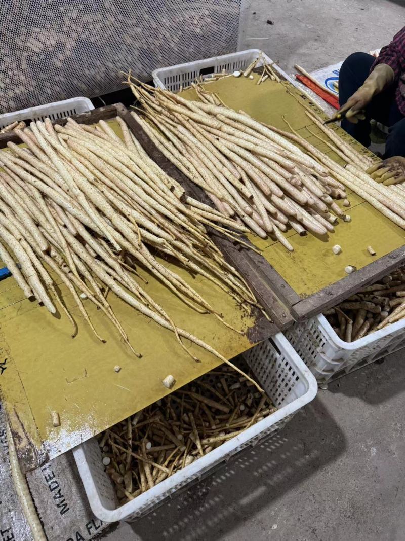 精品小白嘴山药产地直发一手货源量大从优欢迎咨询