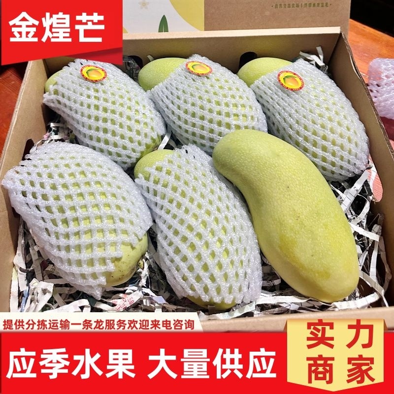 芒果海南金煌芒大量供应应季水果低价供应现摘现发