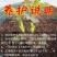 精品玫瑰老桩苗品质保障产地直发专业种植基地可看