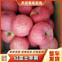 【推荐】山西吉县壶口瀑布冰糖心苹果产地直发量大