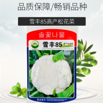 雪丰85天花菜种子有机花菜种子花椰菜高产抗寒中熟菜花种子