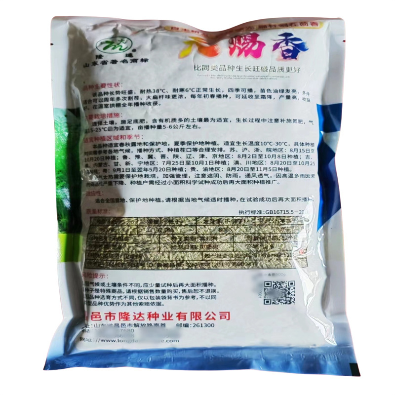 割茬茴香种子小茴香种子天赐香扁杆茴香种子四季耐热38℃
