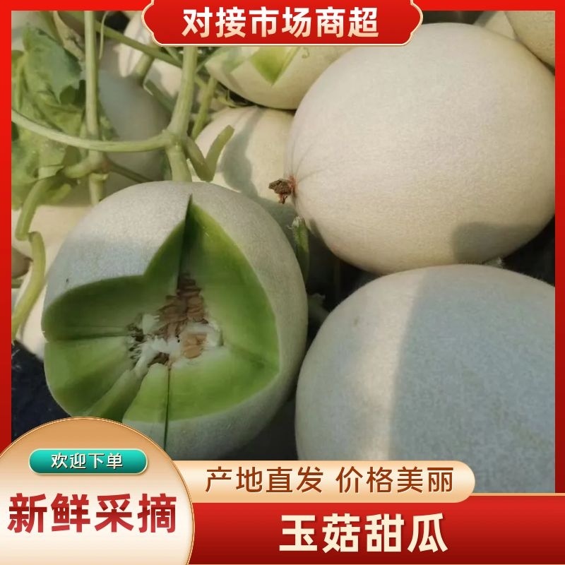 山东玉姑甜瓜冰淇淋玉菇中国香瓜燕店镇欢迎电联价优