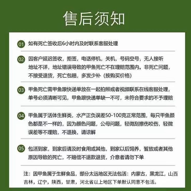 甲鱼