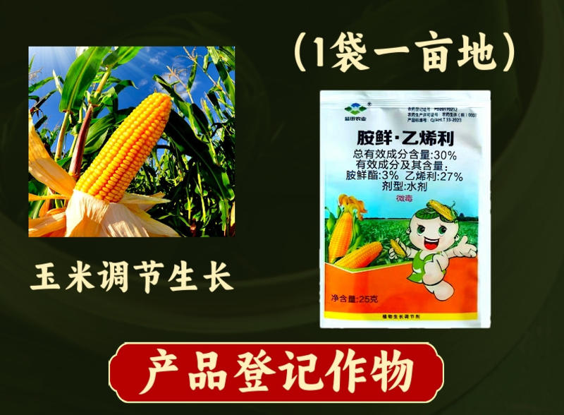 30%胺鲜乙烯利玉米专用调节剂调节增产一袋一亩地