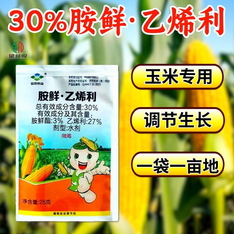 30%胺鲜乙烯利玉米专用调节剂调节增产一袋一亩地
