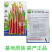 正宗武汉洪山菜苔种籽早熟秋冬菜籽菜种四季菜心南方冬季