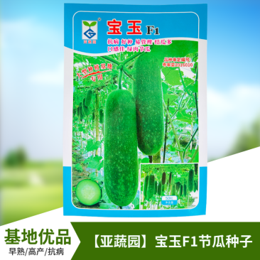 农科院小冬瓜种子水果迷你毛节瓜种籽大全早熟高产耐热蔬菜种