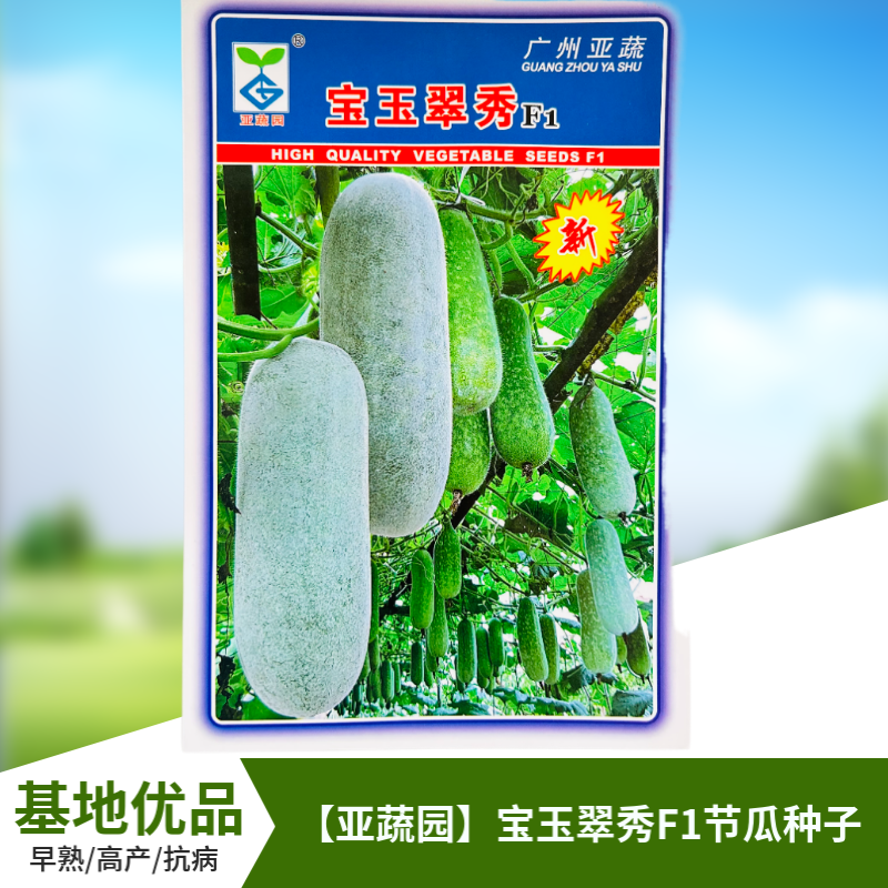 农科院小冬瓜种子水果迷你毛节瓜种籽大全早熟高产耐热蔬菜种