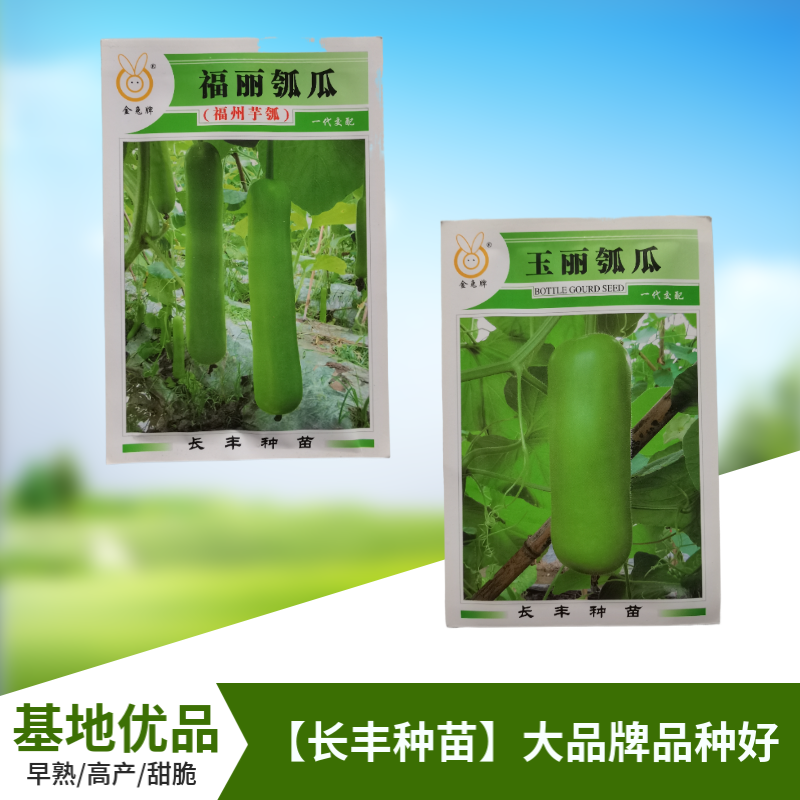 【长丰种苗】短棒瓠子瓜种子西葫芦种子长蒲瓜种子大棚露
