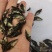 鳜鱼苗翘嘴鳜鱼+饲料桂鱼苗不带基因病毒值得信赖
