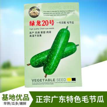 【广东毛节瓜】早熟杂交高产毛节瓜种子抗病强结瓜多脆甜可口