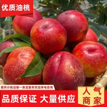 湖北油桃毛桃大量供应脆甜多汁品质保证产地直发