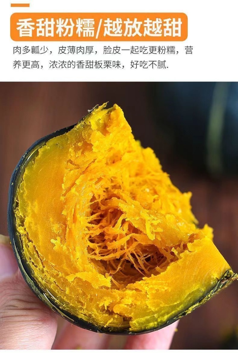 【君川种业】君川甜栗绿贝贝南瓜种子高产日本进口板栗蔬菜种