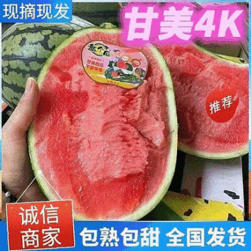 《精选》精品甘美4K西瓜江苏西瓜口感好糖度高视频看货