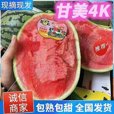 《精选》精品甘美4K西瓜江苏西瓜口感好糖度高视频看货
