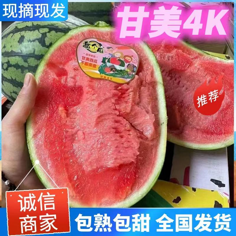 《精选》精品甘美4K西瓜江苏西瓜口感好糖度高视频看货
