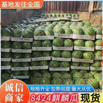 《精选》8424西瓜江苏西瓜大量上市包熟包甜现摘现发
