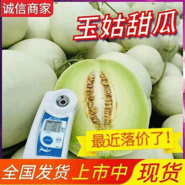《精选》玉姑甜瓜冰淇淋甜瓜现摘现发基地代发全国