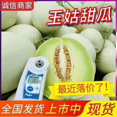《精选》玉姑甜瓜冰淇淋甜瓜现摘现发基地代发全国