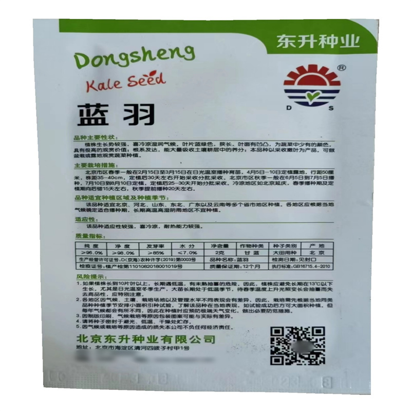 蓝羽羽衣甘蓝种子皱叶食用观赏羽衣甘蓝种子叶片蓝绿色