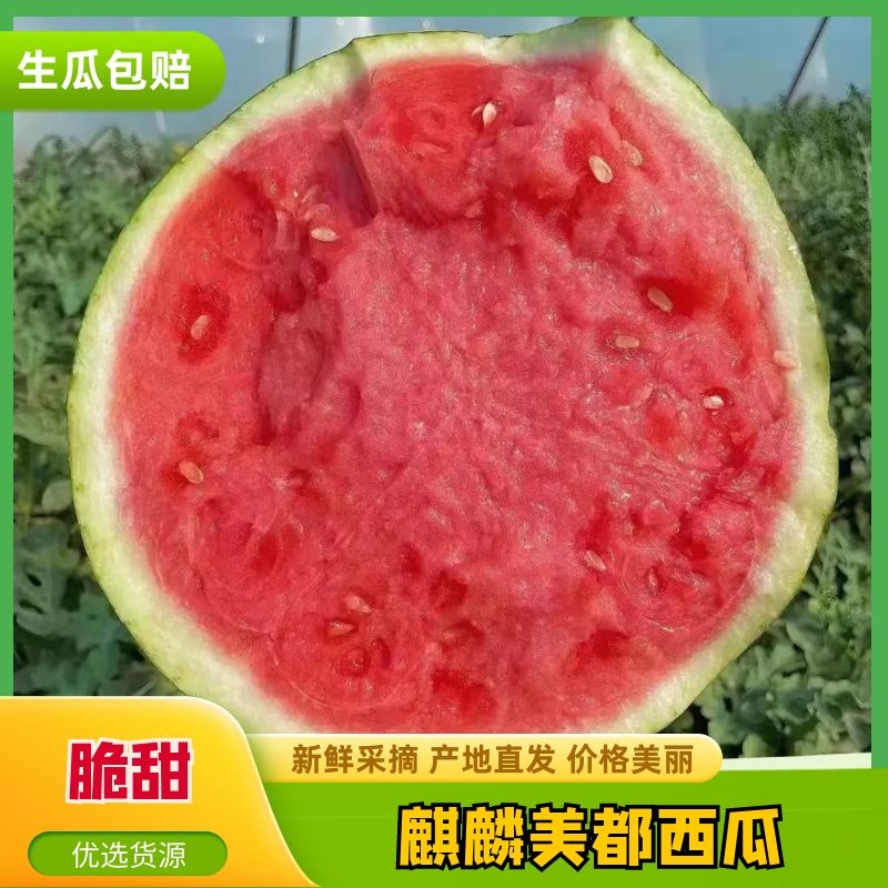 [美都西瓜批发]河南商丘夏邑县西瓜 0.50元/斤【优质】河南西 _ 一亩田