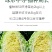 【百幕田种业】大白菜种籽大全红福萝卜种子春紫萝卜种子水果