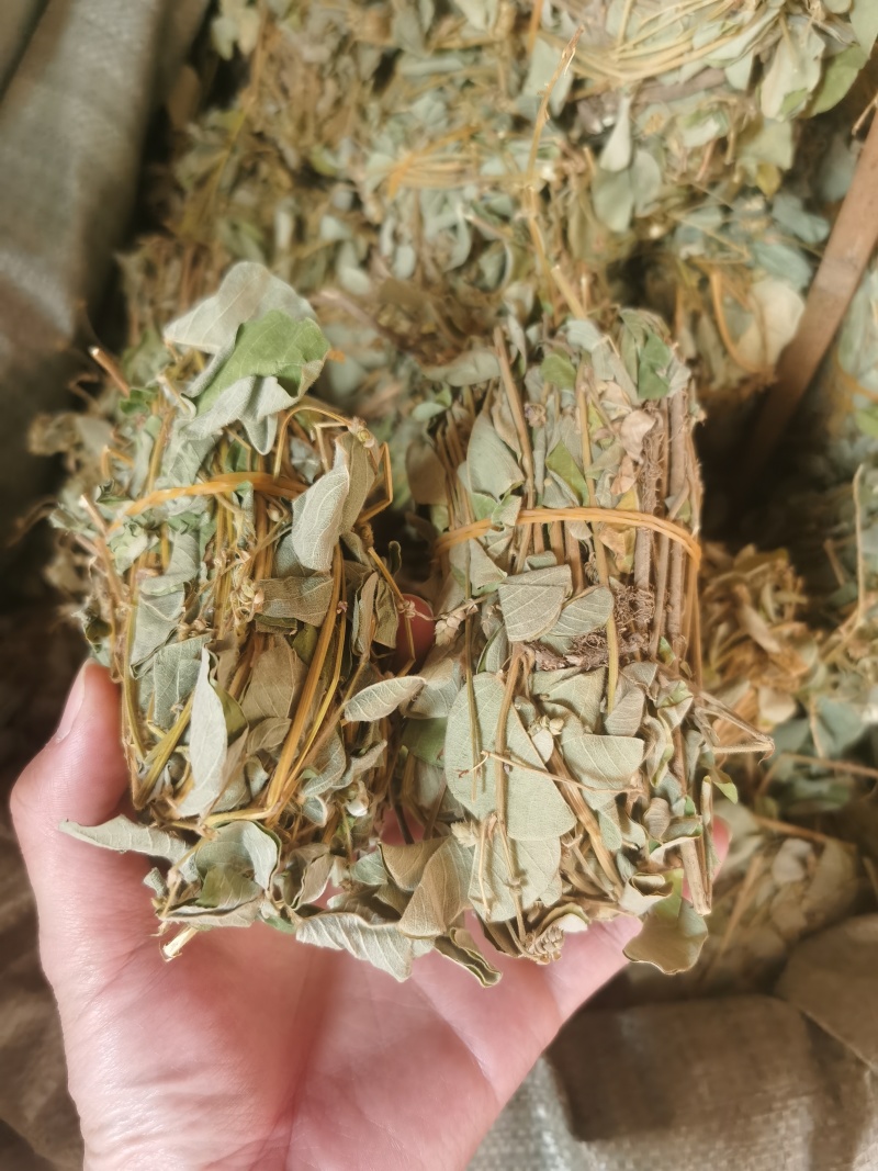 金钱草干货小札广西金钱草货源充足品质保证
