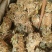 金钱草干货小札广西金钱草货源充足品质保证