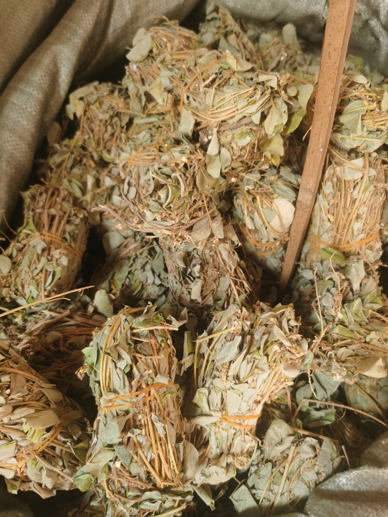金钱草干货小札广西金钱草货源充足品质保证