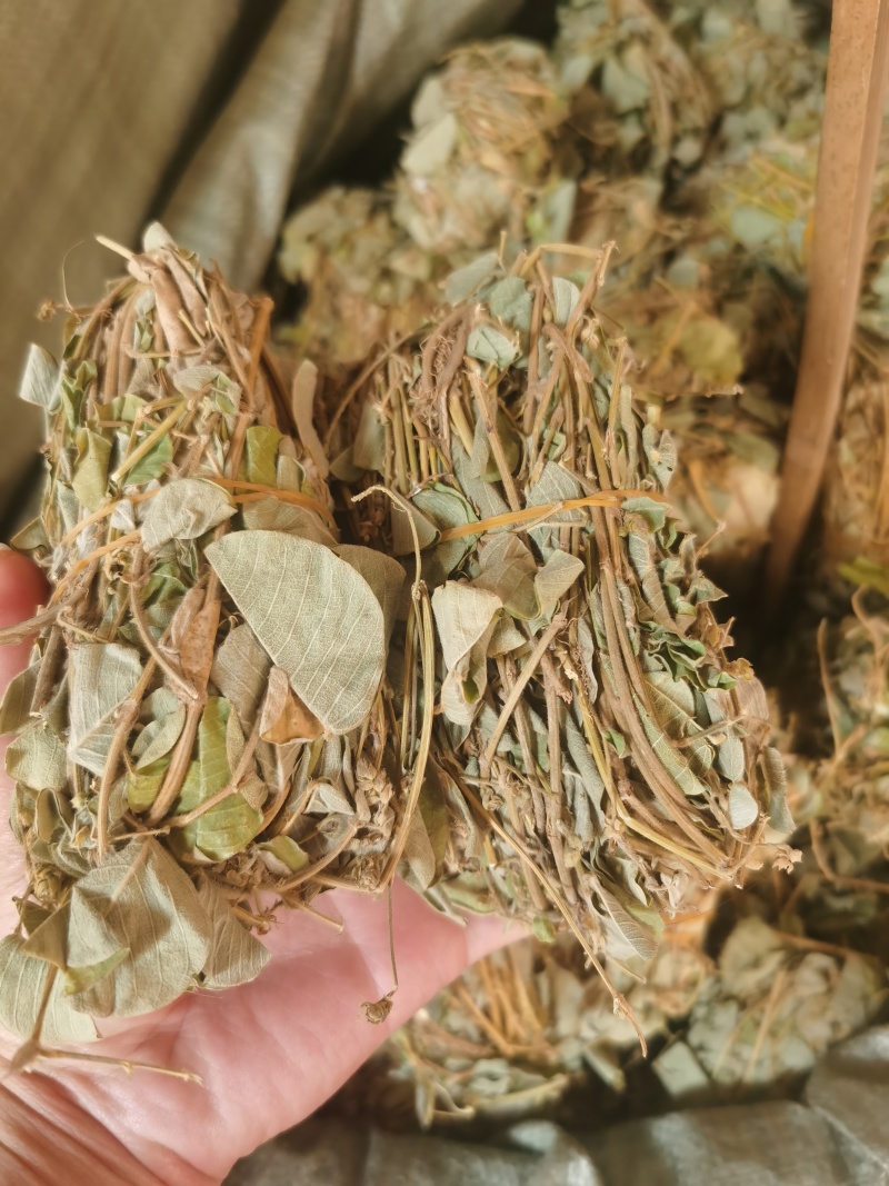 金钱草干货小札广西金钱草货源充足品质保证