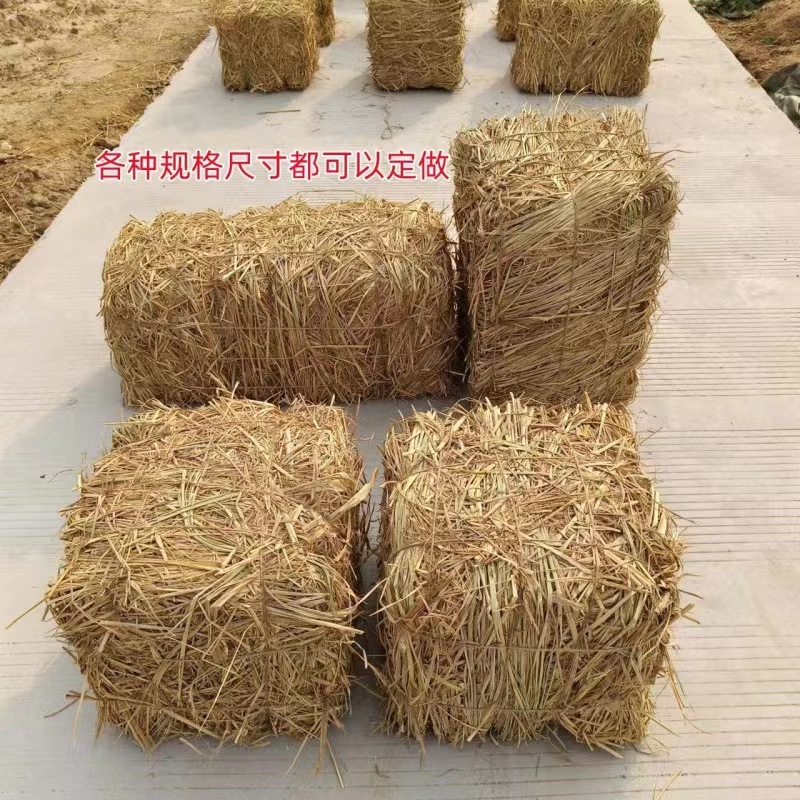 稻草揉丝稻草，铡段稻草，手把草，长稻草，治沙稻草