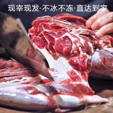 鲜牛肉每天现宰无注水鲜牛肉。。。。。。。