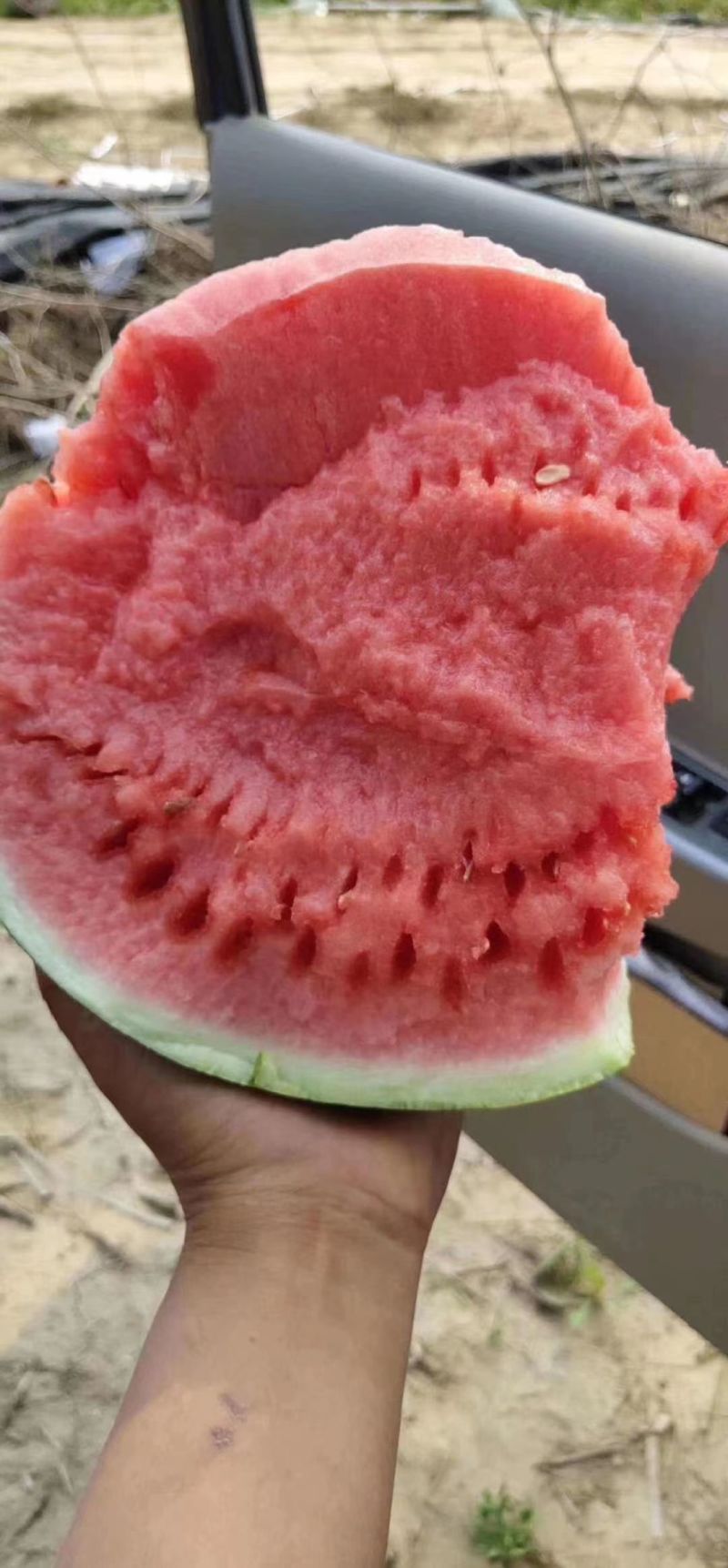 精品美都西瓜河南开封西瓜产地直发大量供应价格优惠