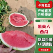 广西黑美人西瓜，产地直发，质量保证