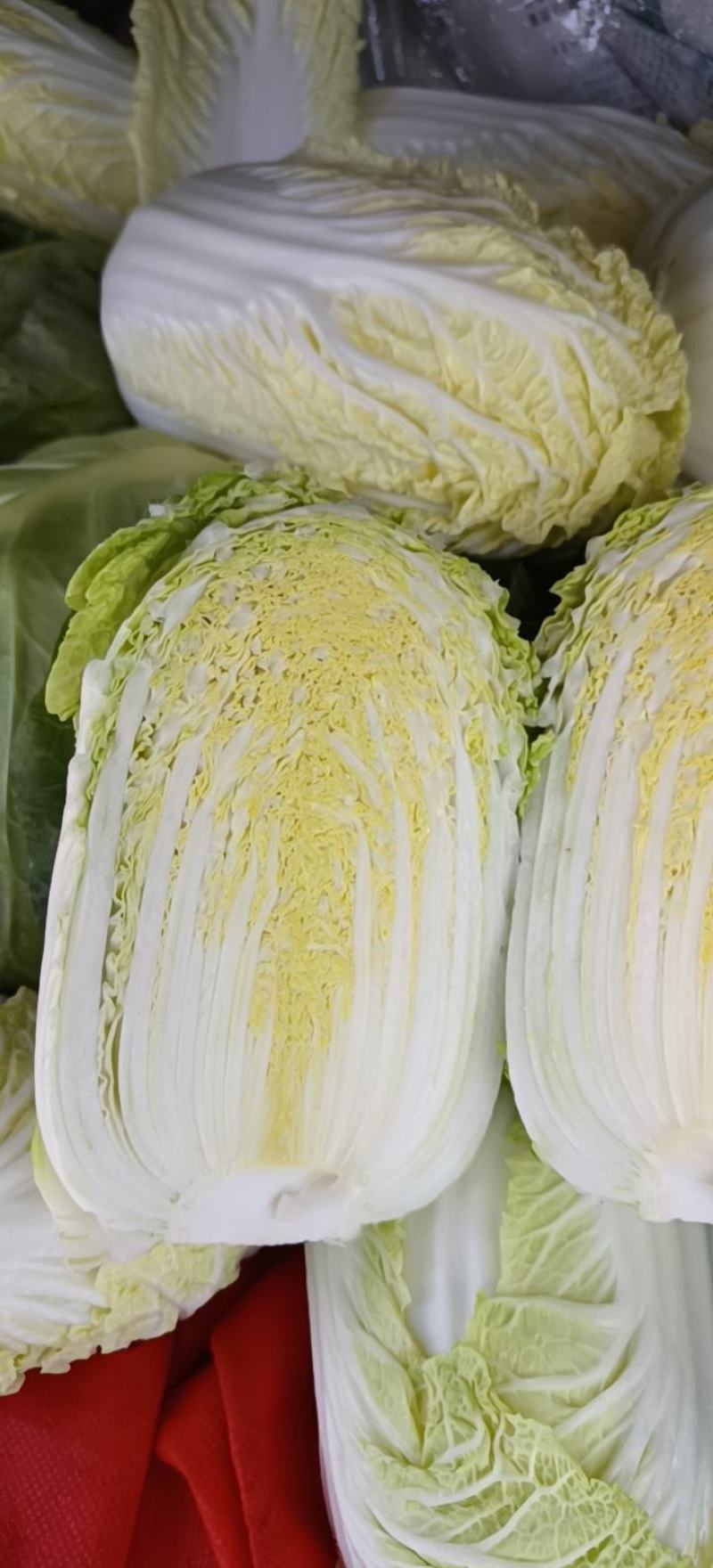【精品】娃娃菜，河南小娃娃菜，品质好，质量优，欢迎选购