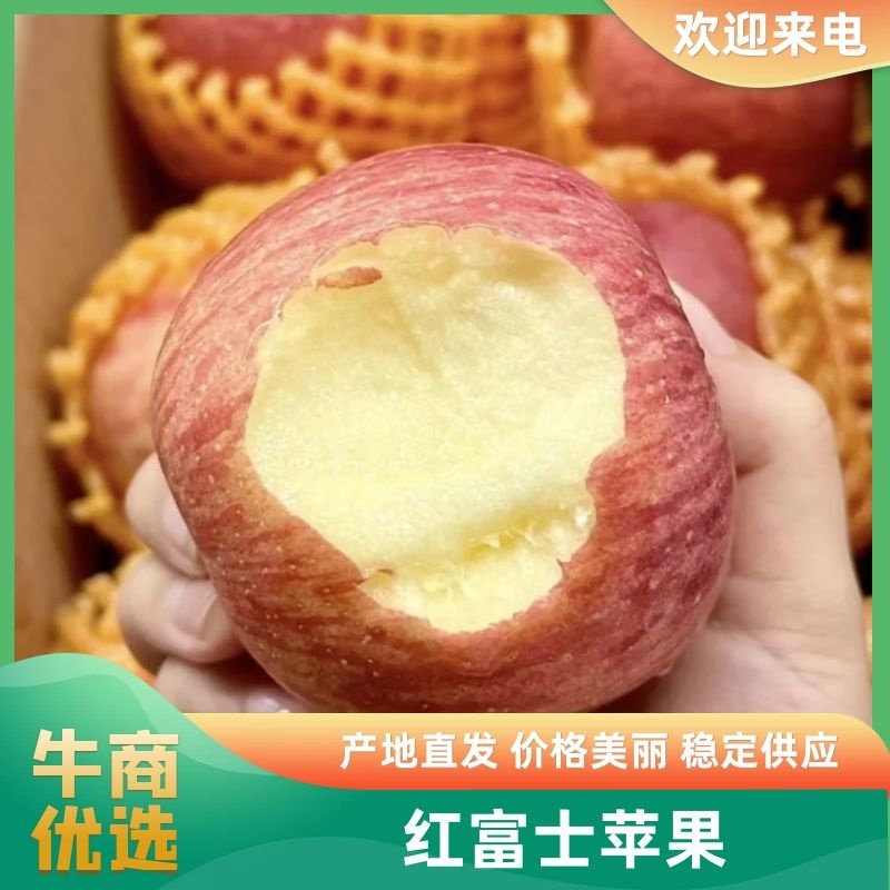 【优选苹果】河南红富士苹果-价格低口感佳-产地直发