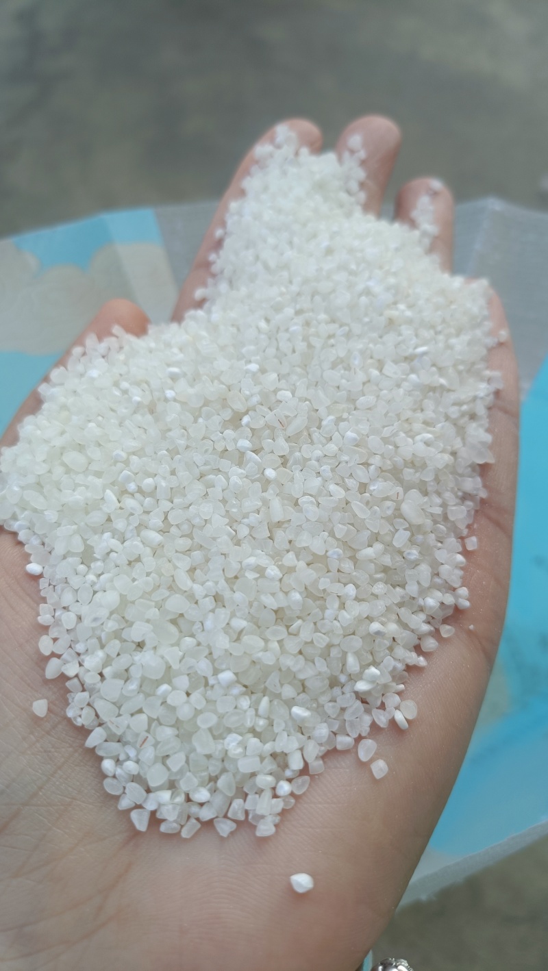 【优选】食品级碎米，抛光加色选货发全国欢迎联系