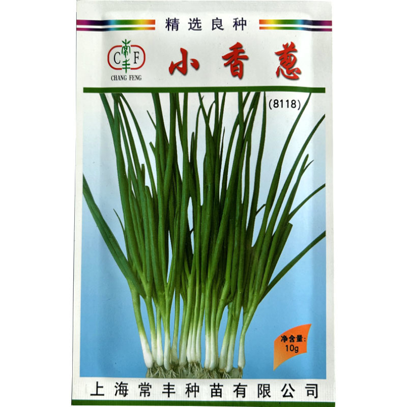 四季小香葱种子批发生长快香味浓分葱基地品种