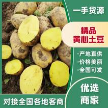 2024年新土豆沃土，实验一黄皮黄心，支持全国发货