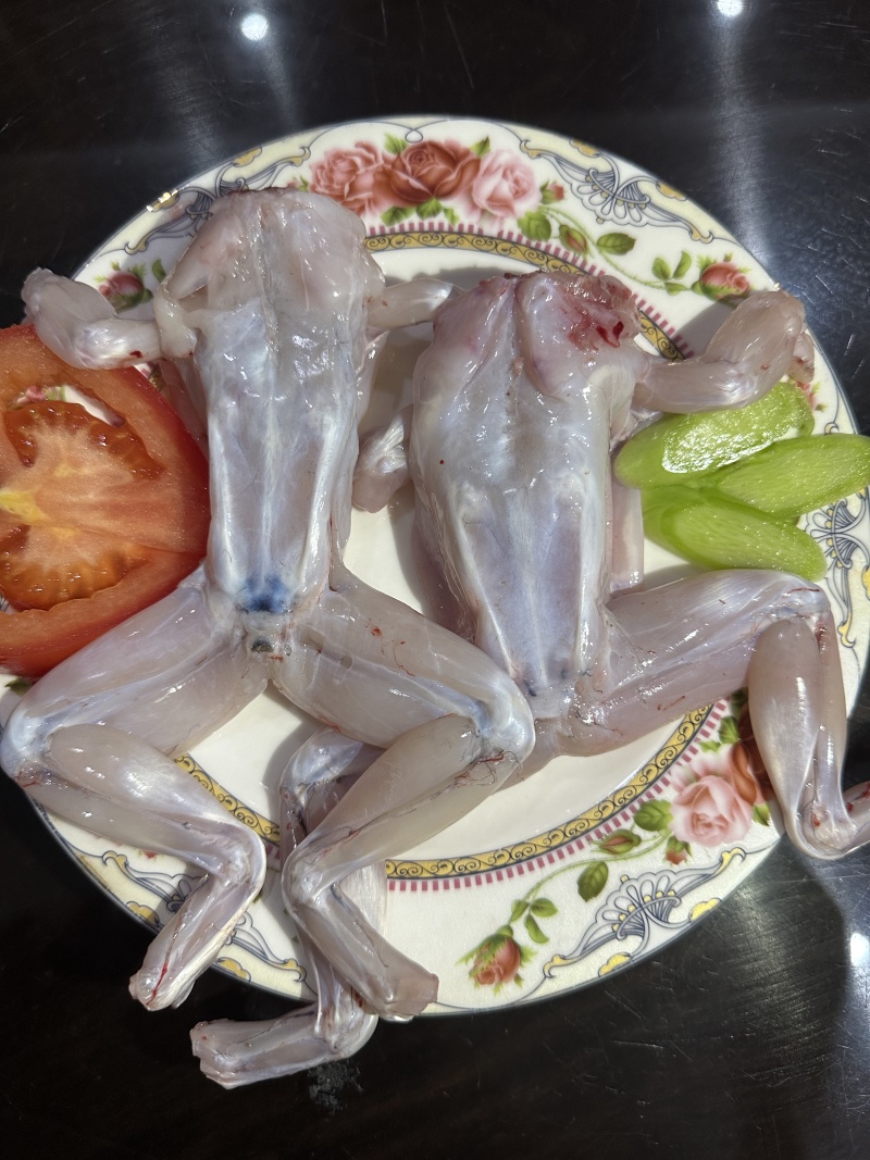 牛蛙鲜活冷冻新鲜特大全蛙肉