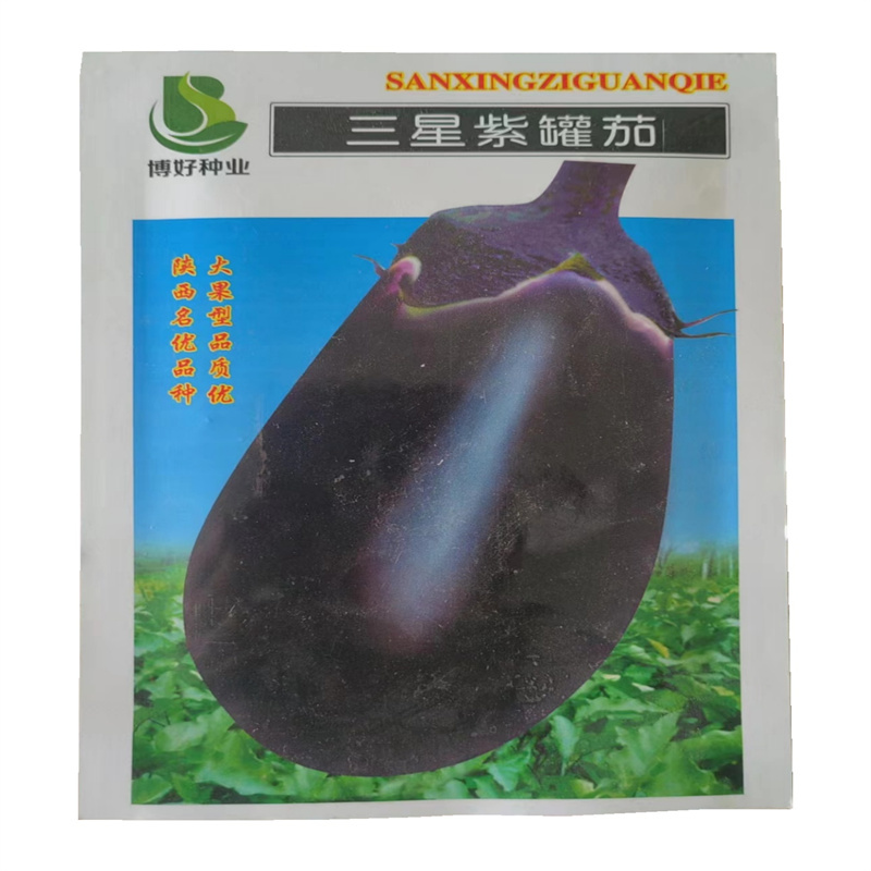 三星紫罐茄种子大果型耐热紫圆茄种子10克