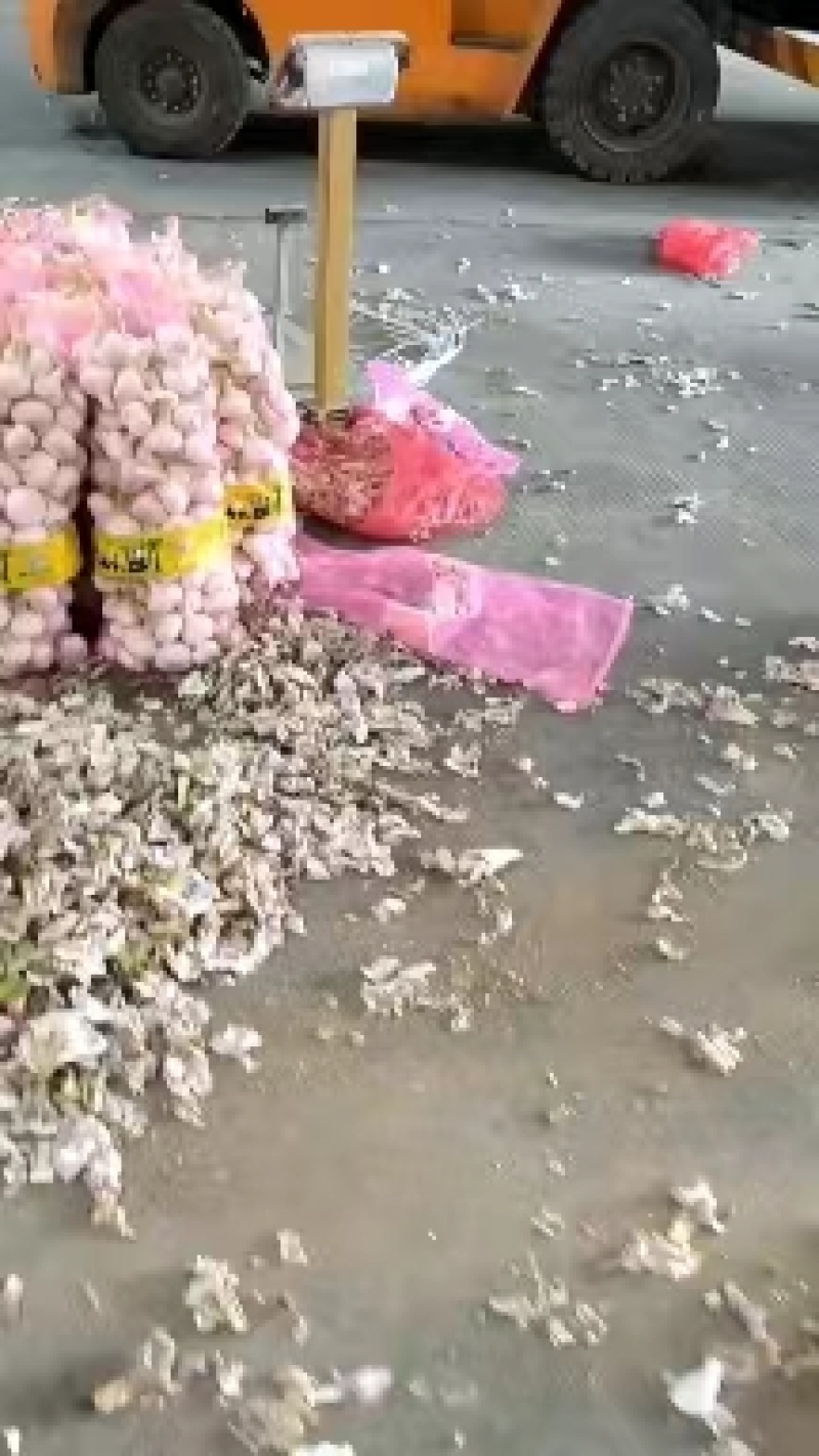 【价格优惠】江苏精品大蒜紫皮蒜上市产地直发货源充足发全国