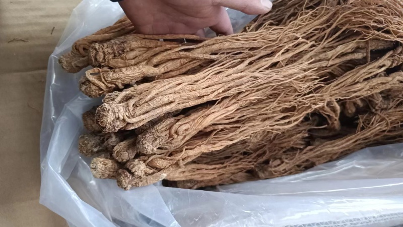 当归**24小时在线服务全国供应***健康放心购
