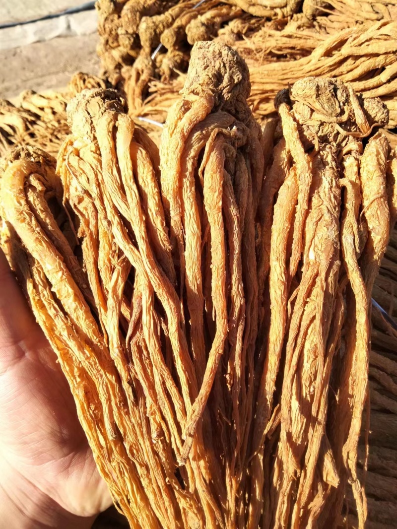 当归**24小时在线服务全国供应***健康放心购